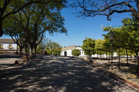 Santiago de la Ribera